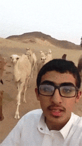 GIF搞笑趣图：我还以为你真的那么厉害呢？玩呢？玩呢？